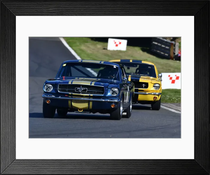 Framed Print : CJM-P 1513 Neil Glover, Jason Green, Ford Mustang Framed Print : CJM-P 1513 Neil Glover, Jason Green, Ford Mustang