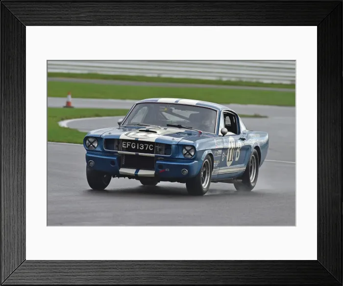 Framed Print : CM32 2458 Larry Tucker, Ford Mustang GT350R Framed Print : CM32 2458 Larry Tucker, Ford Mustang GT350R