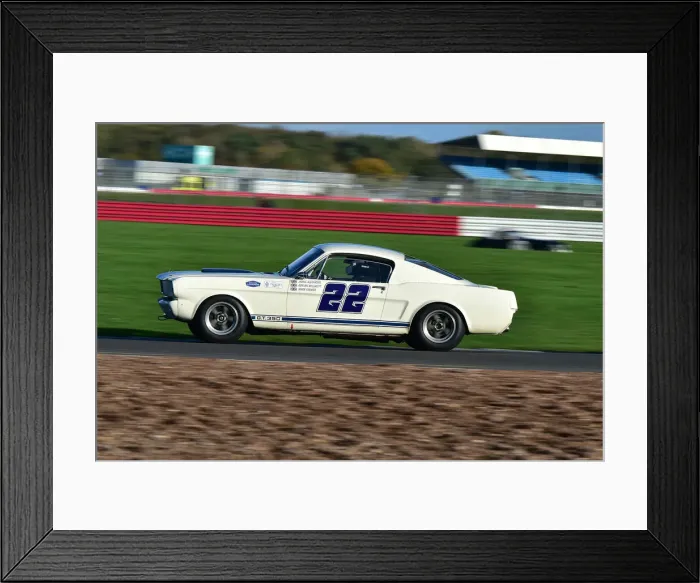 Framed Print : CM32 3837 Mark Farmer, Adrian Willmott, James Alexander, Shelby Mustang 350 GT Framed Print : CM32 3837 Mark Farmer, Adrian Willmott, James Alexander, Shelby Mustang 350 GT