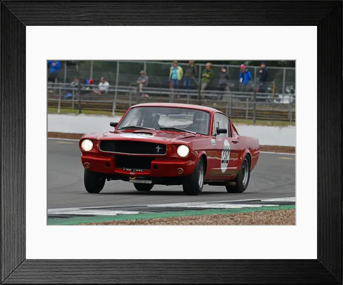 Framed Print : CJ9 3770 Alasdair Coates, Ford Shelby Mustang GT350 Framed Print : CJ9 3770 Alasdair Coates, Ford Shelby Mustang GT350