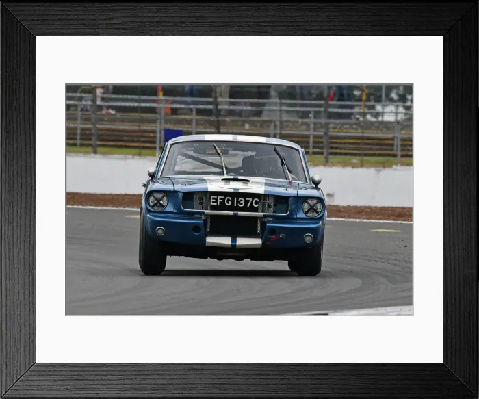 Framed Print : CJ9 3744Larry Tucker, Ford Shelby Mustang GT350