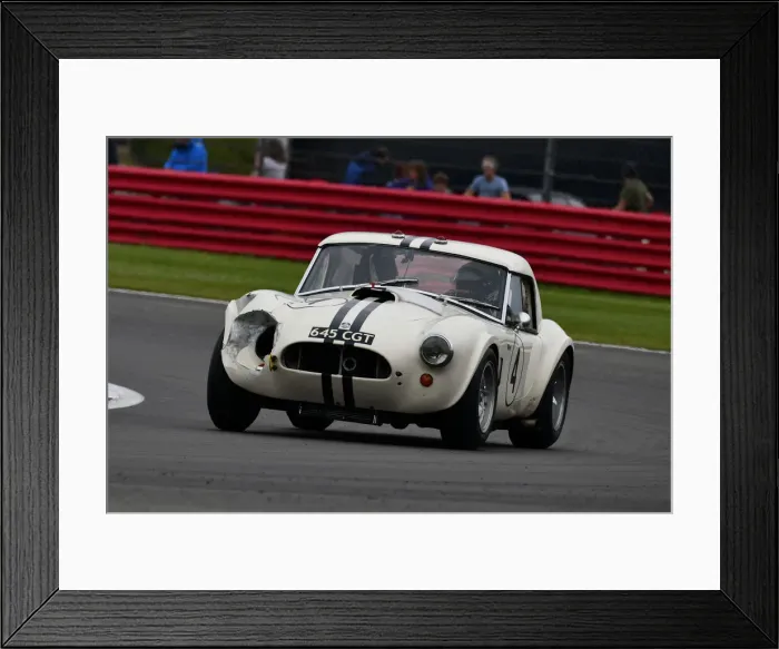 Framed Print : CJ9 3656 Richard Wilson, Gary Pearson, Shelby Cobra Framed Print : CJ9 3656 Richard Wilson, Gary Pearson, Shelby Cobra