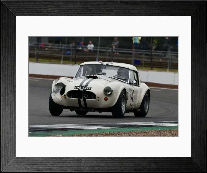 Framed Print : CJ9 3766 Richard Wilson, Gary Pearson, Shelby Cobra Framed Print : CJ9 3766 Richard Wilson, Gary Pearson, Shelby Cobra