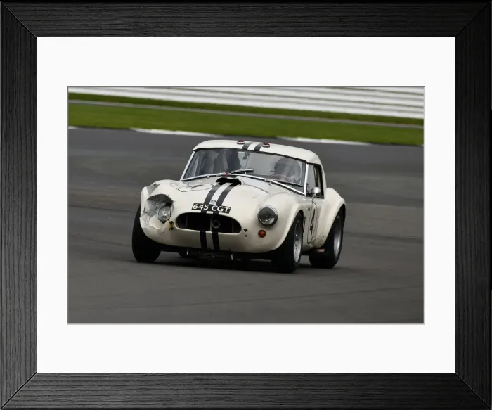 Framed Print : CJ9 3599 Richard Wilson, Gary Pearson, Shelby Cobra Framed Print : CJ9 3599 Richard Wilson, Gary Pearson, Shelby Cobra