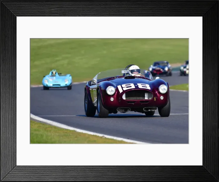 Framed Print : CJ10 4369 Nigel Winchester, Shelby 260 Framed Print : CJ10 4369 Nigel Winchester, Shelby 260