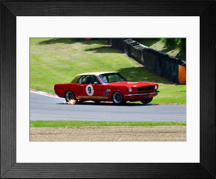 Framed Print : CJ11 1411 Craig Davies, Ford Mustang Framed Print : CJ11 1411 Craig Davies, Ford Mustang