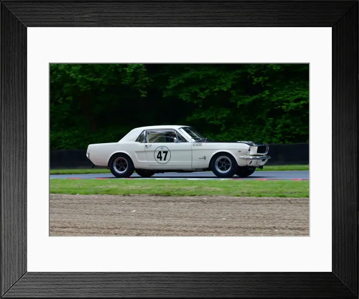 Framed Print : CJ11 1428 Fred Shepherd, Bill Shepherd, Ford Mustang Framed Print : CJ11 1428 Fred Shepherd, Bill Shepherd, Ford Mustang