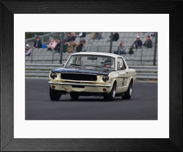 Framed Print : CJ11 2094 Fred Shepherd, Bill Shepherd, Ford Mustang Framed Print : CJ11 2094 Fred Shepherd, Bill Shepherd, Ford Mustang