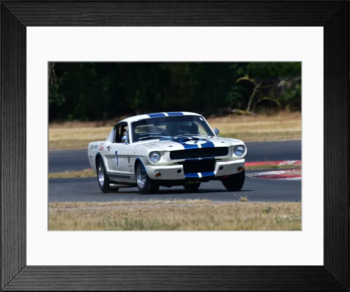 Framed Print : CJ11 6698 Mike Thorne, Shelby Mustang GT350 Framed Print : CJ11 6698 Mike Thorne, Shelby Mustang GT350