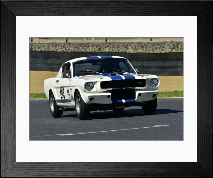Framed Print : CM33 2708 Jeremy Cooke, Tommy Waterfield, Ford Shelby Mustang GT350 Framed Print : CM33 2708 Jeremy Cooke, Tommy Waterfield, Ford Shelby Mustang GT350