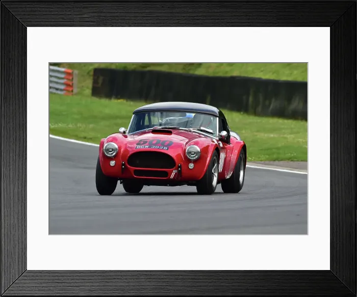 Framed Print : CM33 3654 Ben Gill, Shelby American Cobra Framed Print : CM33 3654 Ben Gill, Shelby American Cobra