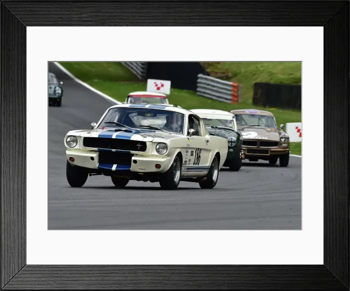 Framed Print : CM33 3596 Jeremy Cooke, Tommy Waterfield, Ford Shelby Mustang GT350 Framed Print : CM33 3596 Jeremy Cooke, Tommy Waterfield, Ford Shelby Mustang GT350