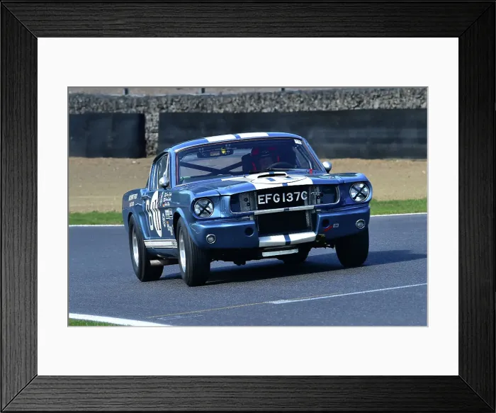 Framed Print : CM33 2735 Larry Tucker, Paul Kennelly, Ford Shelby Mustang GT350 Framed Print : CM33 2735 Larry Tucker, Paul Kennelly, Ford Shelby Mustang GT350