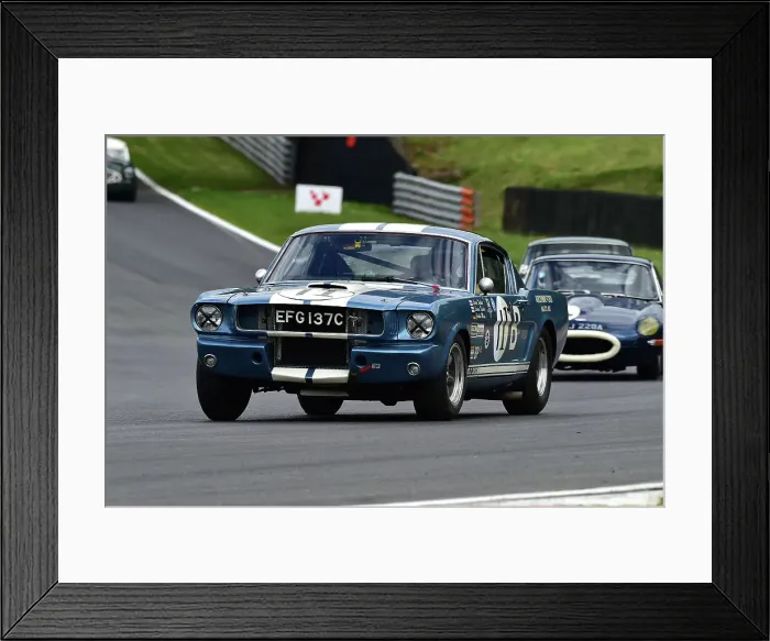 Framed Print : CM33 3593 Larry Tucker, Paul Kennelly, Ford Shelby Mustang GT350 Framed Print : CM33 3593 Larry Tucker, Paul Kennelly, Ford Shelby Mustang GT350