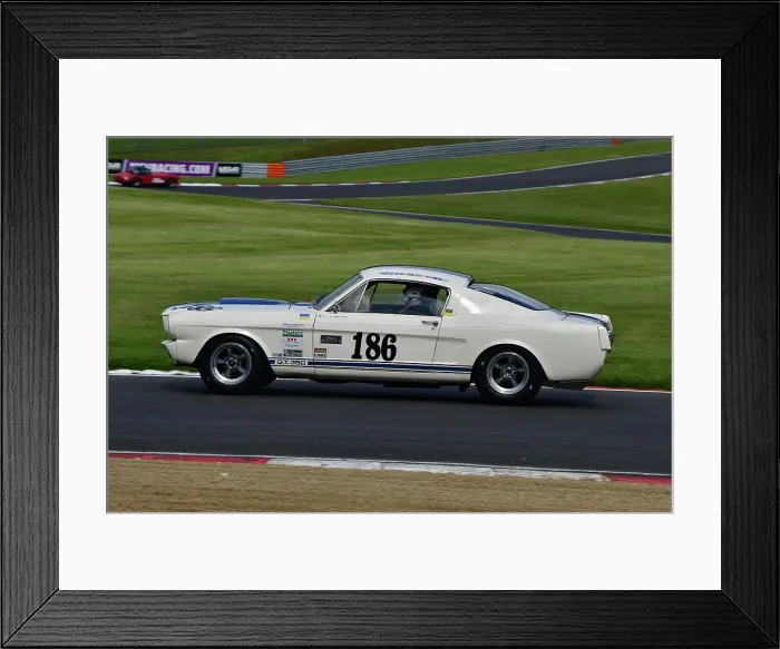 Framed Print : CJ11 1968 Jeremy Cooke, Tommy Waterfield, Ford Shelby Mustang GT350 Framed Print : CJ11 1968 Jeremy Cooke, Tommy Waterfield, Ford Shelby Mustang GT350