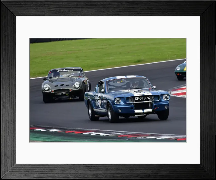 Framed Print : CJ11 2947 Larry Tucker, Ford Shelby Mustang GT350R, Matt Holben, TVR Griffith Framed Print : CJ11 2947 Larry Tucker, Ford Shelby Mustang GT350R, Matt Holben, TVR Griffith