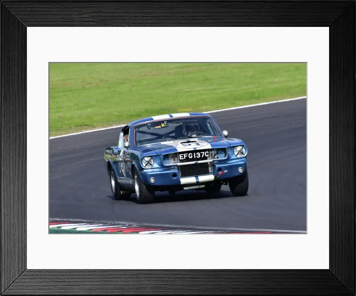 Framed Print : CJ11 3061 Larry Tucker, Ford Shelby Mustang GT350R Framed Print : CJ11 3061 Larry Tucker, Ford Shelby Mustang GT350R