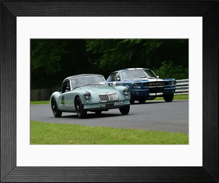 Framed Print : CM33 3787 John Pearson, Nick Brayshaw, MG A Roadster, Larry Tucker, Ford Shelby Mustang GT350R Framed Print : CM33 3787 John Pearson, Nick Brayshaw, MG A Roadster, Larry Tucker, Ford Shelby Mustang GT350R