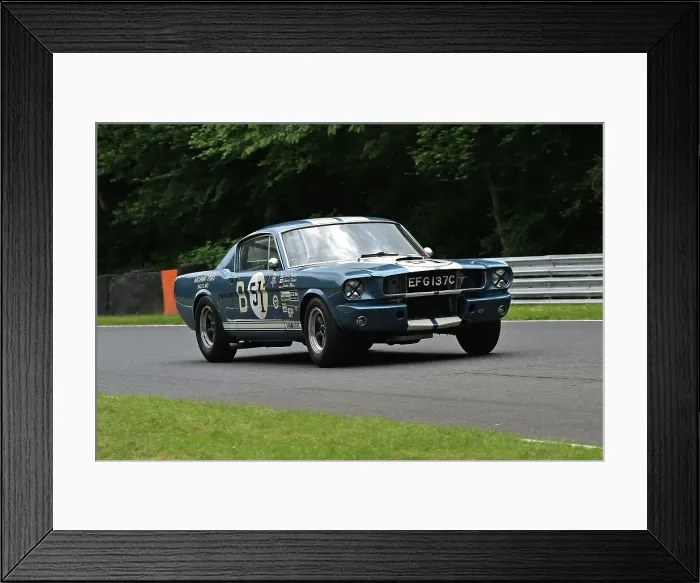Framed Print : CM33 3830 Larry Tucker, Ford Shelby Mustang GT350R Framed Print : CM33 3830 Larry Tucker, Ford Shelby Mustang GT350R