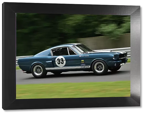 CM33 3859 Paul Kennelly, Ford Mustang Shelby GT350