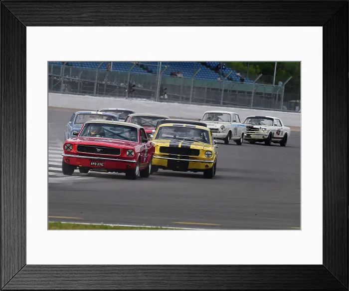 Framed Print : CJ12 0600 John Davison, Ford Mustang, Andy Priaulx, Alex Taylor, Ford Mustang Framed Print : CJ12 0600 John Davison, Ford Mustang, Andy Priaulx, Alex Taylor, Ford Mustang