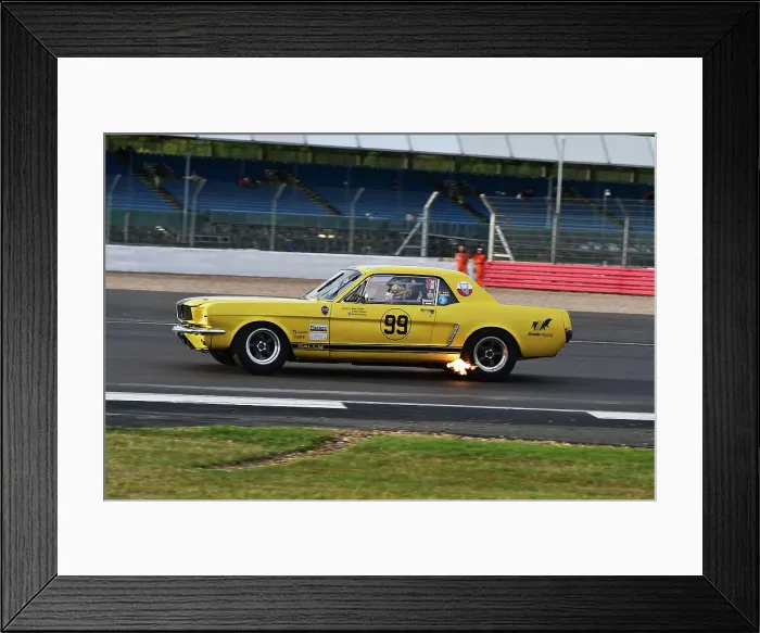 Framed Print : CM33 8330 Andy Priaulx, Alex Taylor, Ford Mustang Framed Print : CM33 8330 Andy Priaulx, Alex Taylor, Ford Mustang