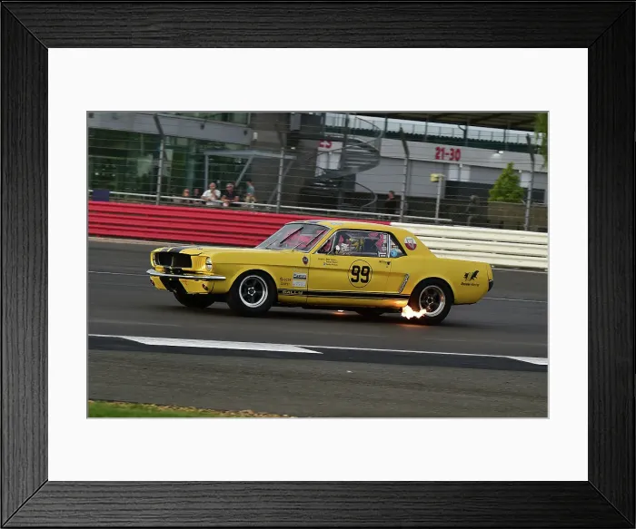 Framed Print : CM33 8473 Andy Priaulx, Alex Taylor, Ford Mustang Framed Print : CM33 8473 Andy Priaulx, Alex Taylor, Ford Mustang