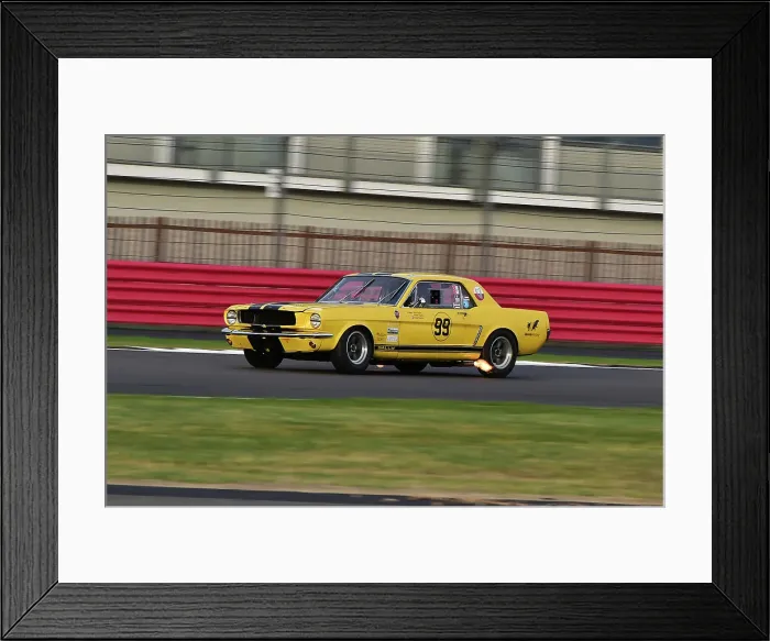 Framed Print : CM33 8766 Andy Priaulx, Alex Taylor, Ford Mustang Framed Print : CM33 8766 Andy Priaulx, Alex Taylor, Ford Mustang