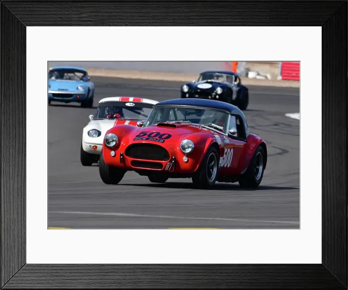 Framed Print : CJ11 8962 Ben Gill, Shelby American Cobra Framed Print : CJ11 8962 Ben Gill, Shelby American Cobra