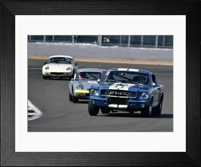 Framed Print : CJ11 9076 Larry Tucker, Paul Kennelly, Ford Shelby Mustang GT350 Framed Print : CJ11 9076 Larry Tucker, Paul Kennelly, Ford Shelby Mustang GT350