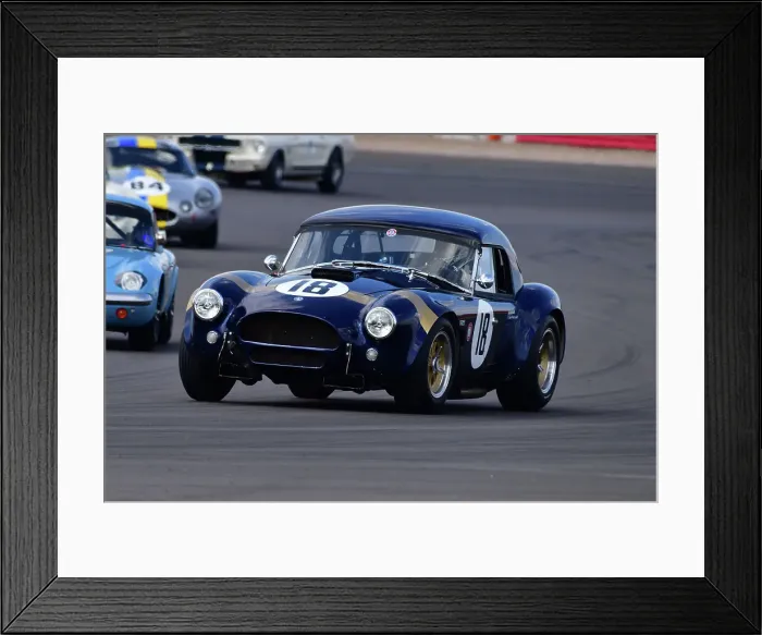 Framed Print : CJ11 9094 Greg Audi, Shelby American Cobra Framed Print : CJ11 9094 Greg Audi, Shelby American Cobra