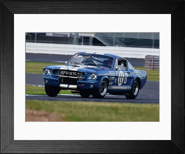 Framed Print : CJ11 9104 Larry Tucker, Paul Kennelly, Ford Shelby Mustang GT350 Framed Print : CJ11 9104 Larry Tucker, Paul Kennelly, Ford Shelby Mustang GT350