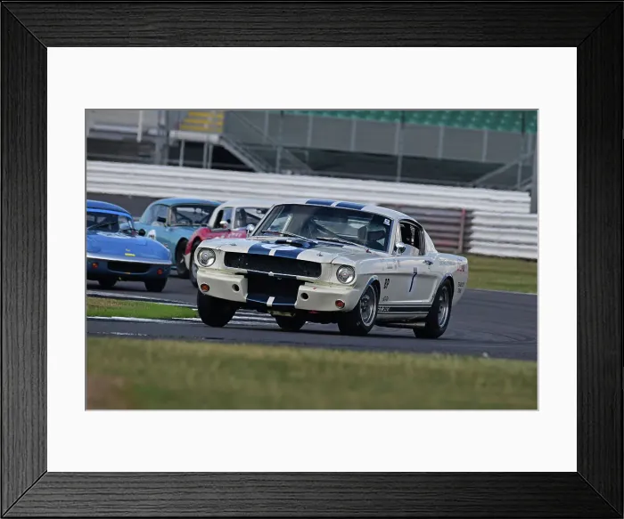 Framed Print : CJ11 9152 Mike Thorne, Sarah Bennett-Baggs, Ford Shelby Mustang Framed Print : CJ11 9152 Mike Thorne, Sarah Bennett-Baggs, Ford Shelby Mustang