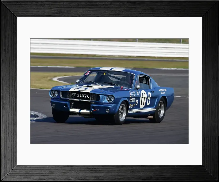 Framed Print : CJ11 9182 Larry Tucker, Paul Kennelly, Ford Shelby Mustang GT350 Framed Print : CJ11 9182 Larry Tucker, Paul Kennelly, Ford Shelby Mustang GT350