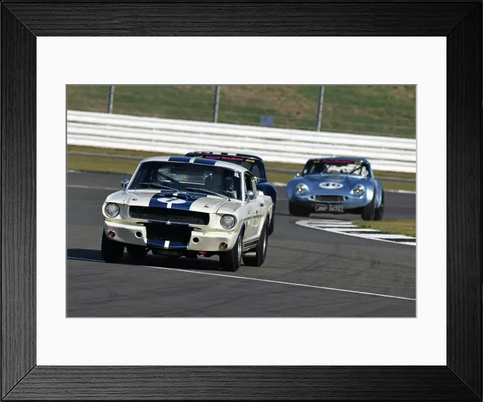 Framed Print : CJ11 9215 Mike Thorne, Sarah Bennett-Baggs, Ford Shelby Mustang Framed Print : CJ11 9215 Mike Thorne, Sarah Bennett-Baggs, Ford Shelby Mustang