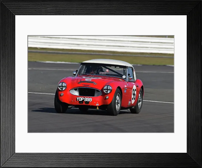 Framed Print : CJ11 9238 Nils Fredrik Nyblaeus, Doug Muirhead, Austin Healey 3000 Framed Print : CJ11 9238 Nils Fredrik Nyblaeus, Doug Muirhead, Austin Healey 3000