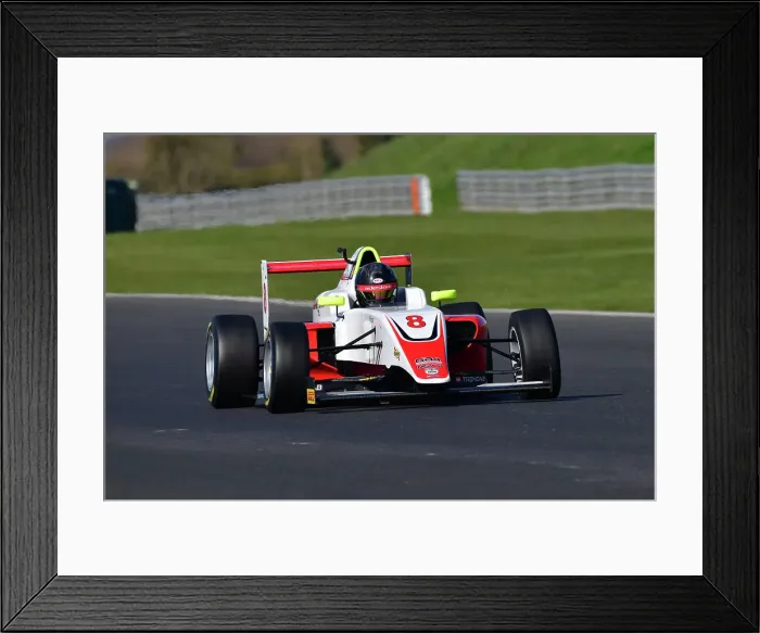 Framed Print : CJ10 4791 Elias Adestam, Tatuus F4-T014