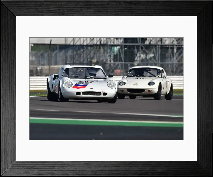 Framed Print : CM33 2495 Westie Mitchell, Sam Mitchell, Chevron B8 Framed Print : CM33 2495 Westie Mitchell, Sam Mitchell, Chevron B8