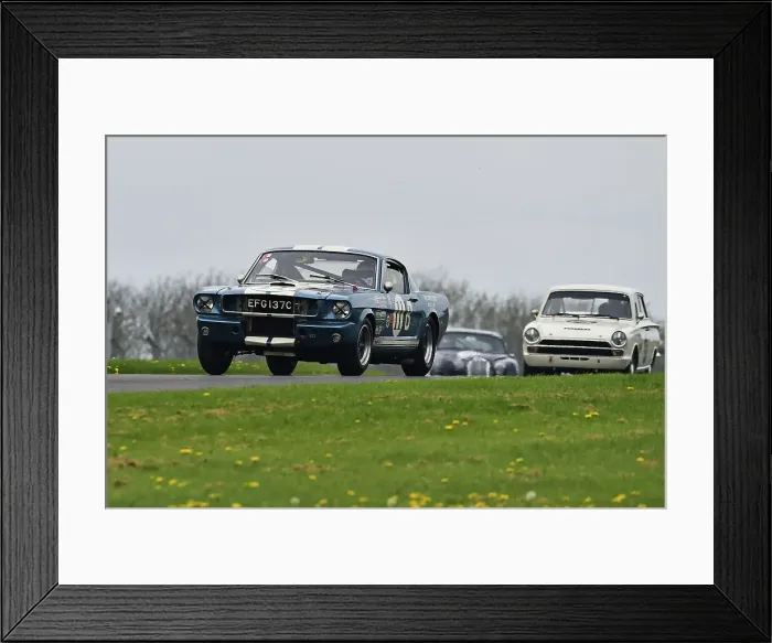 Framed Print : CM34 6365 Larry Tucker, Laurie Tucker, Ford Shelby Mustang GT350R Framed Print : CM34 6365 Larry Tucker, Laurie Tucker, Ford Shelby Mustang GT350R