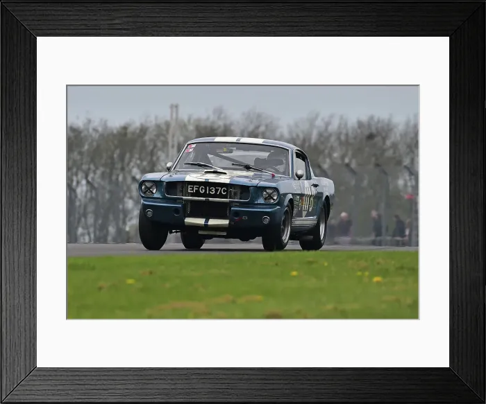 Framed Print : CM34 6413 Larry Tucker, Laurie Tucker, Ford Shelby Mustang GT350R Framed Print : CM34 6413 Larry Tucker, Laurie Tucker, Ford Shelby Mustang GT350R