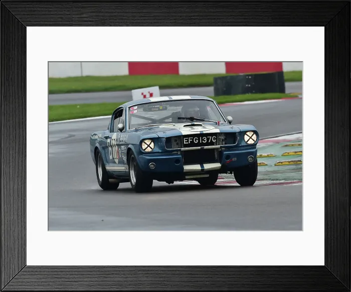 Framed Print : CM34 6983 Larry Tucker, Laurie Tucker, Ford Shelby Mustang GT350R Framed Print : CM34 6983 Larry Tucker, Laurie Tucker, Ford Shelby Mustang GT350R