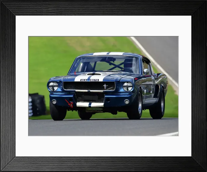 Framed Print : CJ13 4622 Paul Kennelly, Shelby Mustang GT350R Framed Print : CJ13 4622 Paul Kennelly, Shelby Mustang GT350R