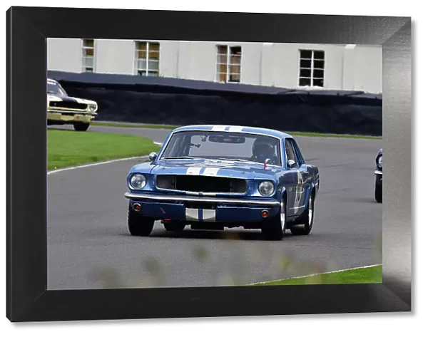 CJ13 6196 David Brabham, Alex Brundle, Ford Mustang