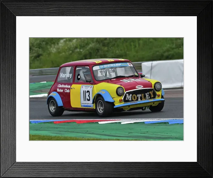 Framed Print : CM35 8231 Philip Harvey, Mini Libre Framed Print : CM35 8231 Philip Harvey, Mini Libre