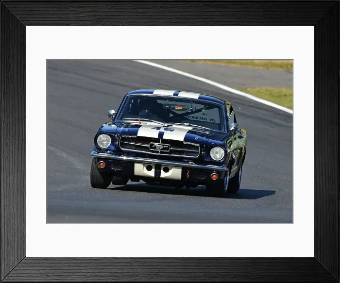 Framed Print : CJ14 5130 Jerry Bailey, Ford Mustang Framed Print : CJ14 5130 Jerry Bailey, Ford Mustang