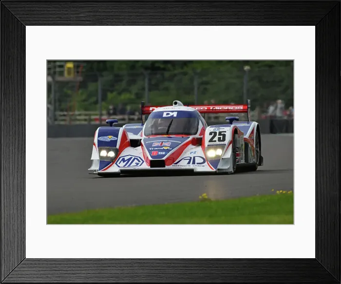 Framed Print : CJ14_4025 Mike Newton, Lola B08-80.jpg Framed Print : CJ14_4025 Mike Newton, Lola B08-80.jpg