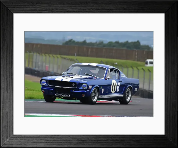 Framed Print : CJ14_3793 Chris Jolly, Steve Farthing, Ford Shelby Mustang GT 350.jpg Framed Print : CJ14_3793 Chris Jolly, Steve Farthing, Ford Shelby Mustang GT 350.jpg