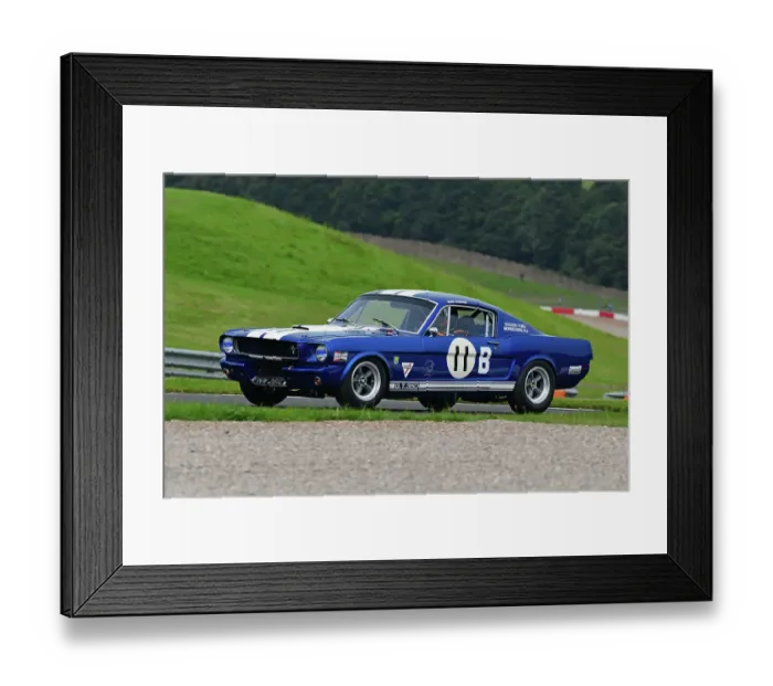 Framed Print : CJ14_3828 Chris Jolly, Steve Farthing, Ford Shelby Mustang GT 350.jpg Framed Print : CJ14_3828 Chris Jolly, Steve Farthing, Ford Shelby Mustang GT 350.jpg
