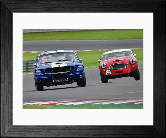 Framed Print : CJ14_4846 Chris Jolly, Steve Farthing, Ford Shelby Mustang GT 350.jpg Framed Print : CJ14_4846 Chris Jolly, Steve Farthing, Ford Shelby Mustang GT 350.jpg