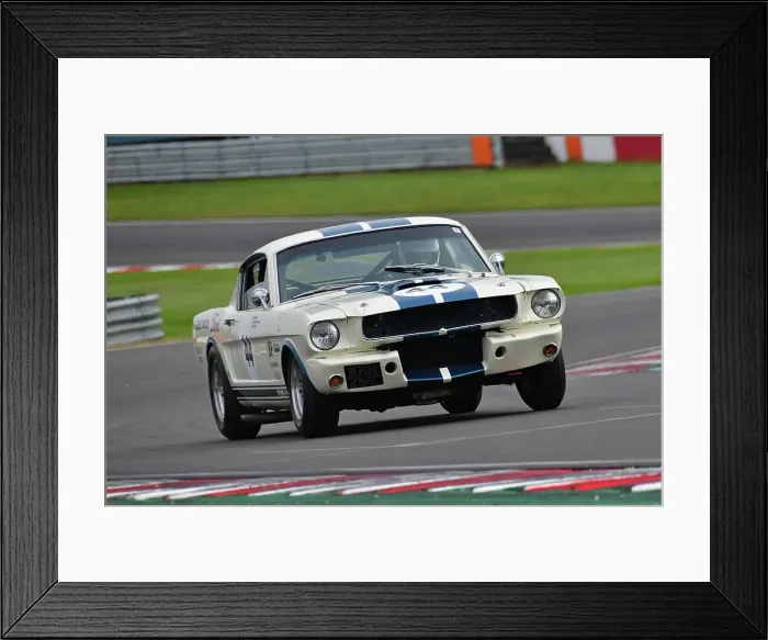 Framed Print : CJ14_4848 Mike Thorne, Sarah Bennett-Baggs, Ford Shelby Mustang GT350.jpg Framed Print : CJ14_4848 Mike Thorne, Sarah Bennett-Baggs, Ford Shelby Mustang GT350.jpg